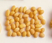 Image 1-4